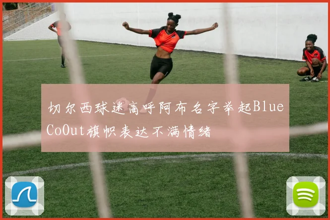 切尔西球迷高呼阿布名字举起BlueCoOut旗帜表达不满情绪