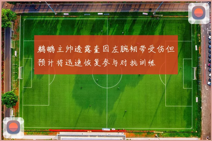 鹈鹕主帅透露奎因左腕韧带受伤但预计将迅速恢复参与对抗训练